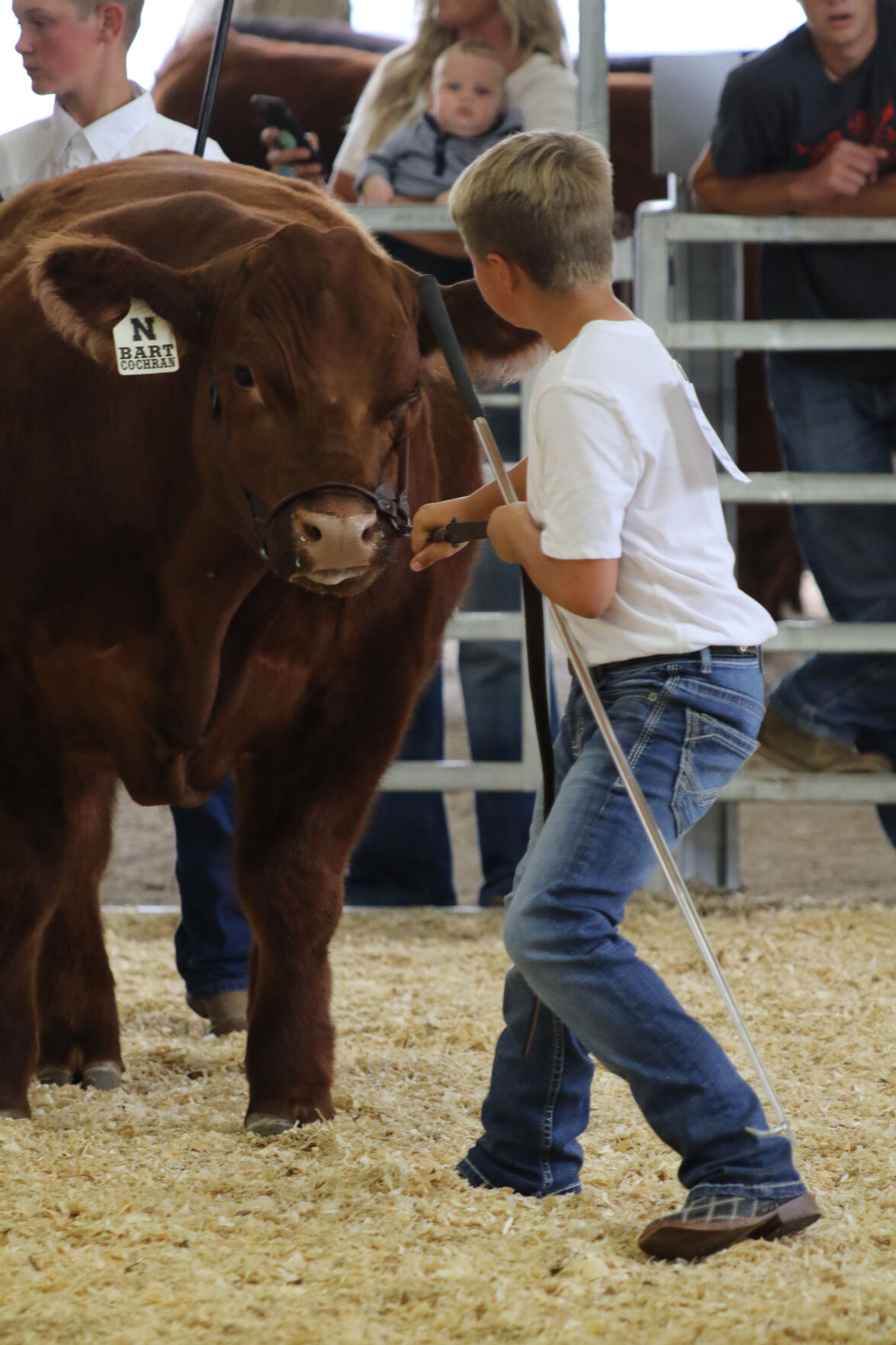PHOTOS: Market Beef Show 2020